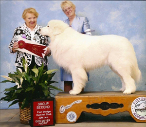 Great Pyrenees CH Euzkalzale Legacy of Hope