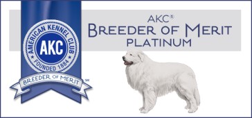 American Kennel Club Breeder of Merit