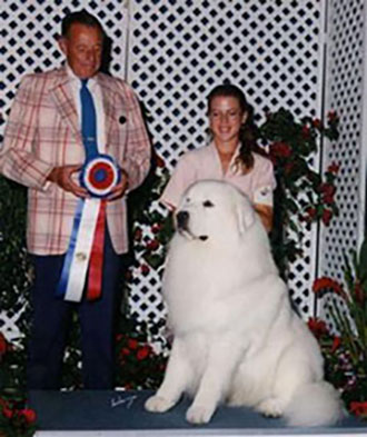 Great Pyrenees DD Best in Show