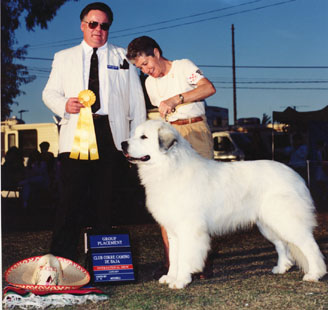 Great Pyrenees CH Euzkalzale Lobengula