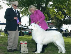 Great Pyrenees Catch