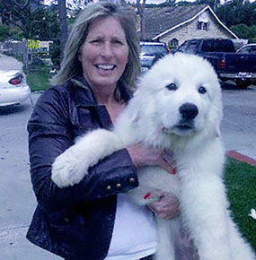 Great Pyrenees Dutch