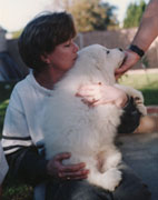 Great Pyrenees Puppy