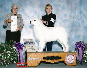 Great Pyrenees Hope