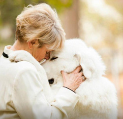 Great Pyrenees Hope