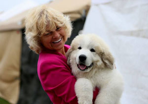 Great Pyrenees Valor