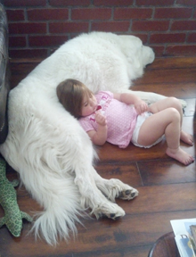 Great Pyrenees Nana