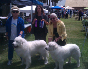 Great Pyrenees Val and Sunny
